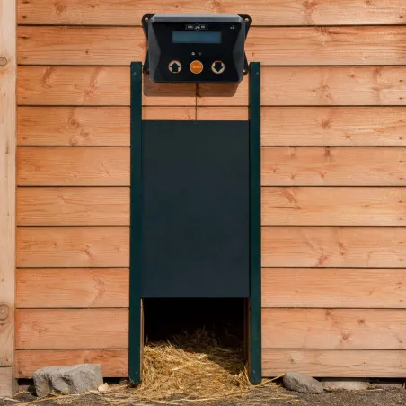 Porte auto poulailler Breedsafe V2 - Anti-prédateurs