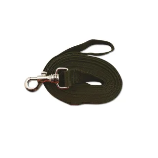 Longe extensible 5m pour chien - Couleur orange vif