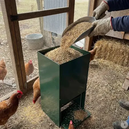 Mangeoire volailles 12 kg anti-nuisibles vert thermolaqué