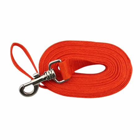 Longe extensible 5m pour chien - Couleur orange vif