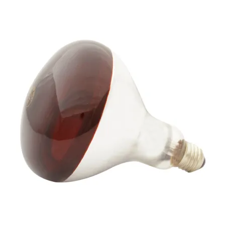 Ampoule infrarouge 250W pour élevage de volailles