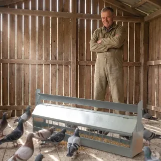 Mangeoire 1m à rouleau anti-perchage pour pigeons