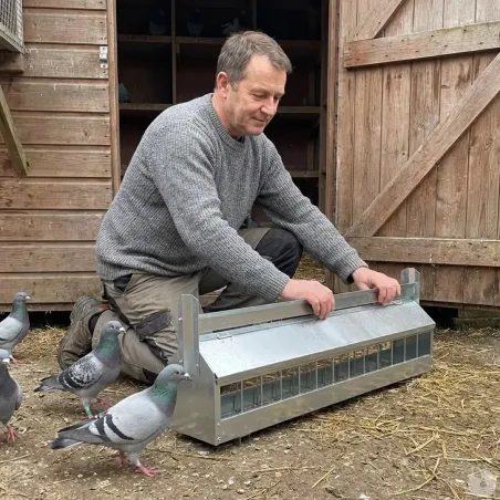 Mangeoire 1m à rouleau anti-perchage pour pigeons