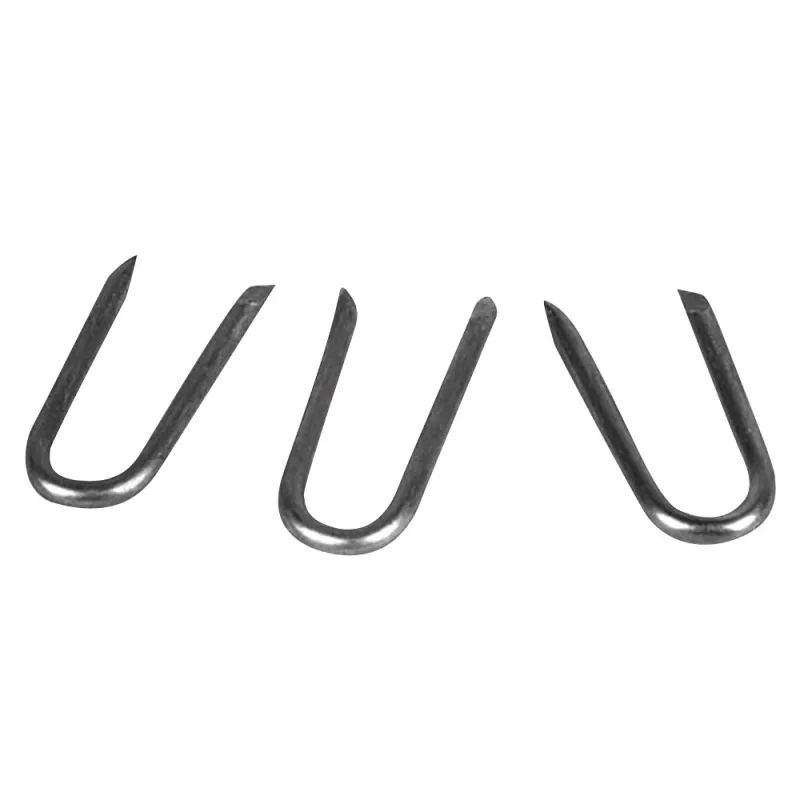 Crampillons zingués 3,8x47 mm - Sachet de 50 pièces