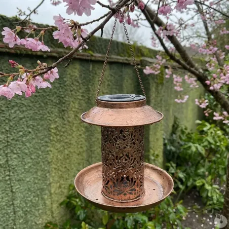 Lanterne solaire mangeoire 2-en-1 Ø19x20cm bronze