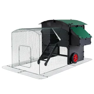 Enclos 2m pour poulailler surélevé 8-15 poules - Sécurité optimale