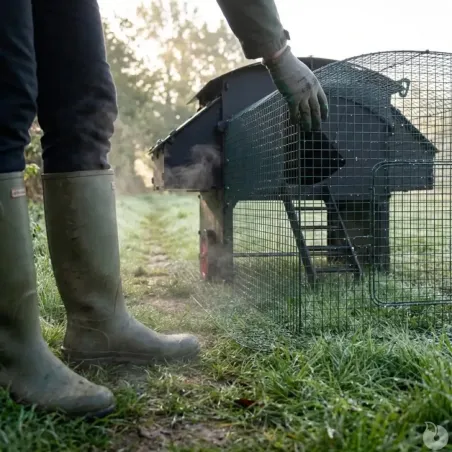 Enclos 2m pour poulailler surélevé 8-15 poules - Sécurité optimale