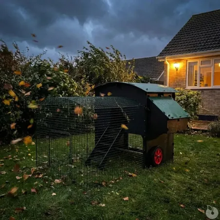 Enclos 2m pour poulailler surélevé 8-15 poules - Sécurité optimale