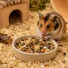 Aliment complet pour hamster en mélange de graines