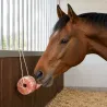 Pierre à lécher Himalaya pour chevaux 3 kg