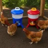 Kit 30L Mangeoire & Abreuvoir Volailles - Bleu/Rouge/Blanc
