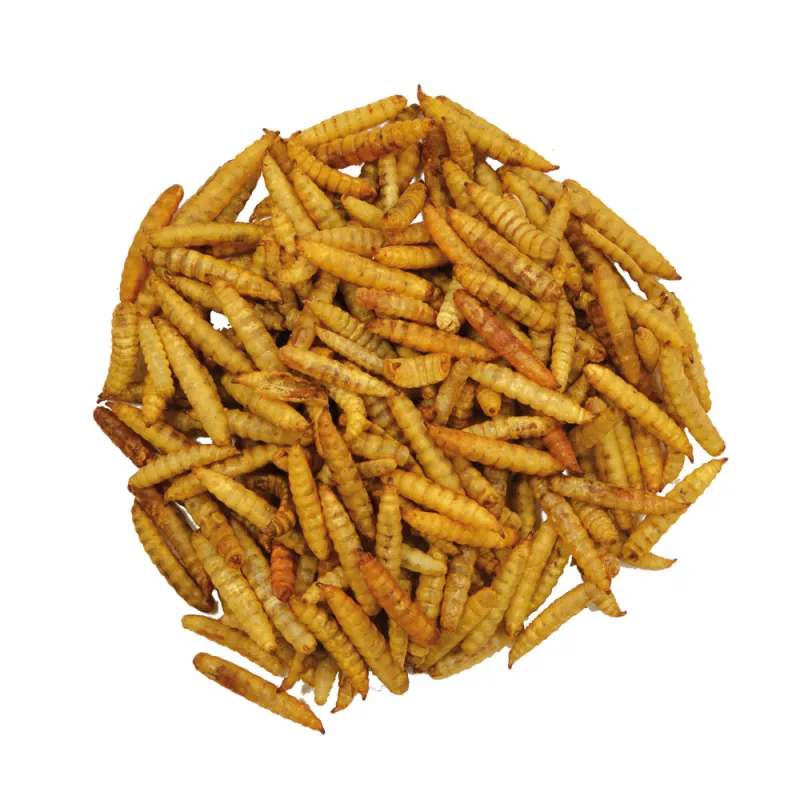 Larves soufflées Hermetia Illucens 2L - Protéines & Calcium