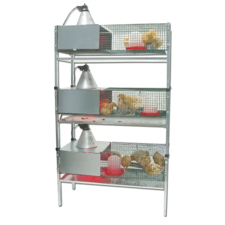Kit 3 cages éleveuses pour poussins ou cailles 100x60cm