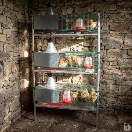 Kit 3 cages éleveuses pour poussins ou cailles 100x60cm