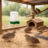 Abreuvoir cage 1L pour poussins, cailles et oiseaux Olba