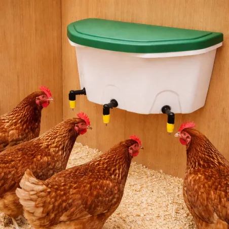 Abreuvoir mural AviAqua 8L avec 3 pipettes Olba