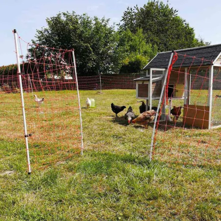 Filet volaille 25m H110 cm orange avec porte intégré