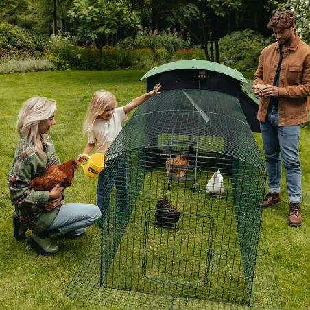 Extension 1m pour enclos poulailler 8-15 poules - Vert foncé