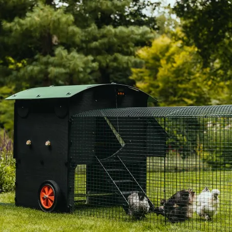 Extension 1m pour enclos poulailler 8-15 poules - Vert foncé