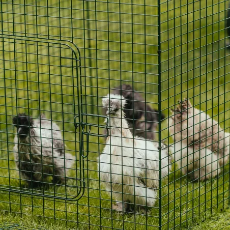 Extension 1m pour enclos poulailler 8-15 poules - Vert foncé