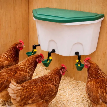 Abreuvoir mural 8L à coupelles pour poules Aviaqua Olba