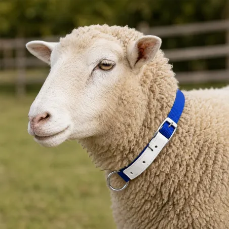 Collier ajustable moutons/chèvres en nylon jaune 60 cm