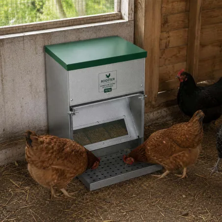 Mangeoire anti-nuisibles Rooster 10kg - Acier galvanisé