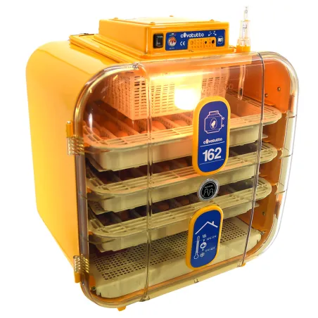 Couveuse Covatutto 162 - 162 œufs - Semi-auto Novital