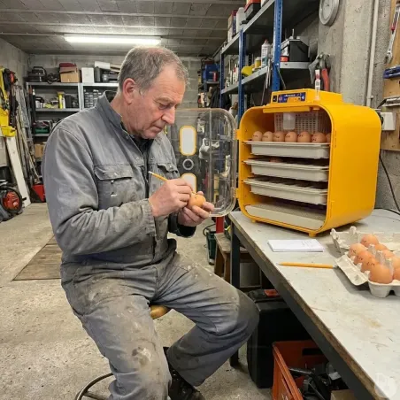 Couveuse Covatutto 162 - 162 œufs - Semi-auto Novital