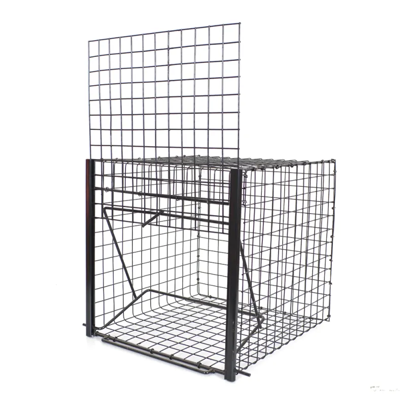 Pièges à pie galvanisés - Lot de 3 - 21x31x21cm efficace