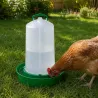 Abreuvoir profond 12L pour volailles et pigeons