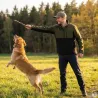 Veste Softshell Tralnor 3 couches déperlante à capuche