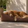 Coussin chien imperméable 90x70cm - Polyester 600D marron