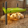 Panneau chauffant 12W éco pour poussins - River Systems
