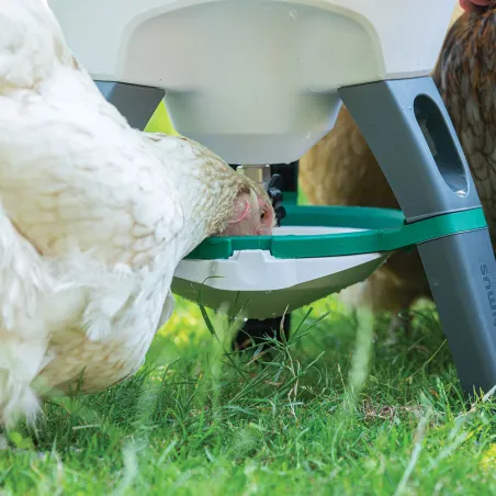 Abreuvoir Olba Optimus 25L sur pieds démontable