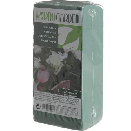 Lot de 6 mousses florales 20x10x7,5 cm pour fleurs