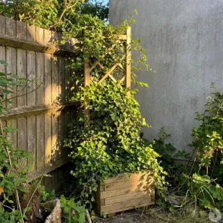 Jardinière bois treillis 40x31x140cm - élégance naturelle