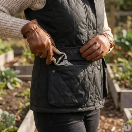 Gilet Haxby Walker & Hawkes vert coton ciré femme