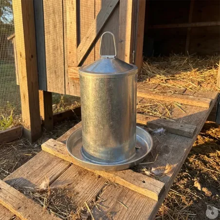 Abreuvoir galvanisé 4L pour poules - Double paroi robuste