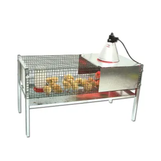 Cage éleveuse poussins/cailles 100x60x50 cm - Kit complet