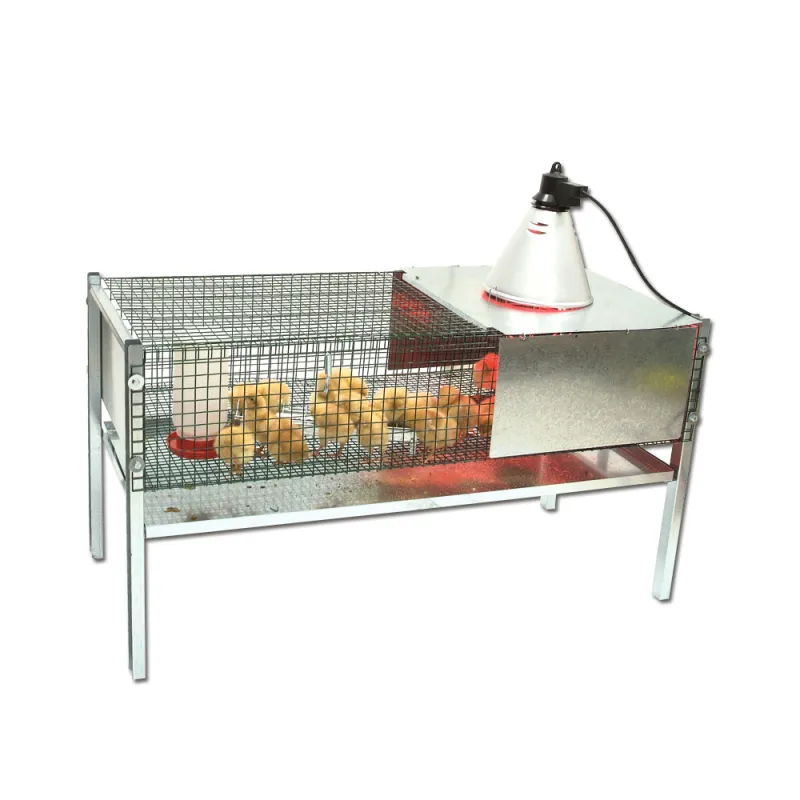 Cage éleveuse poussins/cailles 100x60x50 cm - Kit complet