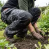 Pantalon Donjon - Résistant pour éleveurs et travaux extérieurs