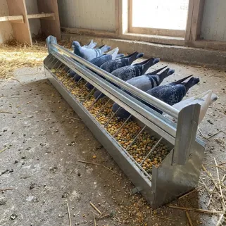Mangeoire 1m à rouleau anti-perchage pour pigeons