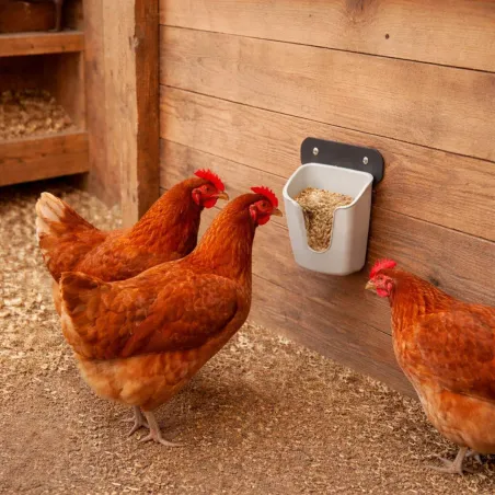 Mangeoire murale V Feedr 350g - Anti-gaspi pour volailles