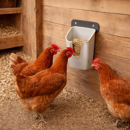 Mangeoire murale V Feedr 700 g anti-gaspi volailles