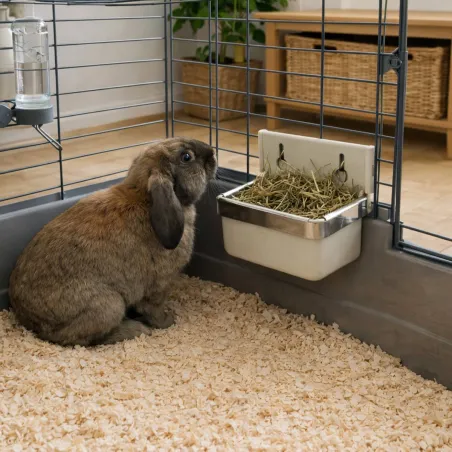 Mangeoire résistante pour lapins et rongeurs - 300 ml crème