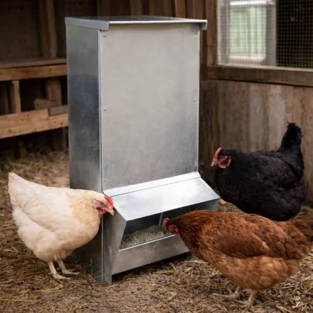 Mangeoire galvanisée 15 kg anti-gaspi pour volailles
