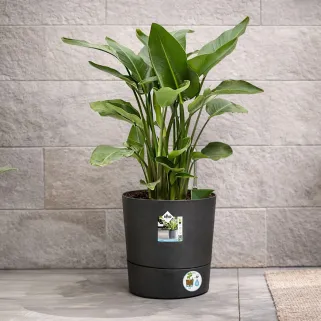 Pot de jardin Ø43xH43cm gris anthracite Elho® en plastique recyclé