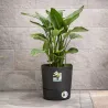 Pot de jardin Ø43xH43cm gris anthracite Elho® en plastique recyclé