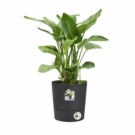 Pot de jardin Ø43xH43cm gris anthracite Elho® en plastique recyclé